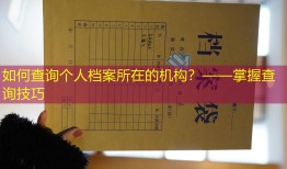 如何查询个人档案所在的机构？——掌握查询技巧