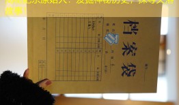 揭秘肥东原始人：发掘神秘历史，探寻失落故事！