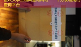 重庆大学生档案查询网站：一个方便易用的查询平台