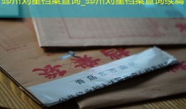 邳州刘星档案查询_邳州刘星档案查询续篇