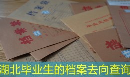 湖北毕业生的档案去向查询
