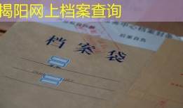 揭阳网上档案查询
