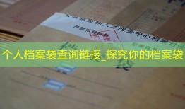 个人档案袋查询链接_探究你的档案袋