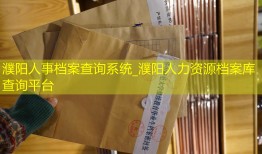 濮阳人事档案查询系统_濮阳人力资源档案库查询平台
