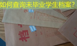 如何查询未毕业学生档案？