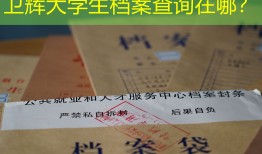 卫辉大学生档案查询在哪？