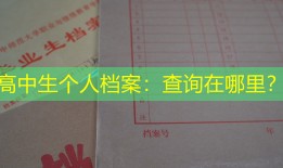 高中生个人档案：查询在哪里？