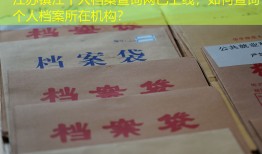 江苏镇江个人档案查询网已上线，如何查询个人档案所在机构？
