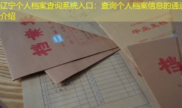 辽宁个人档案查询系统入口：查询个人档案信息的通道介绍