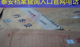 泰安档案查询入口官网电话