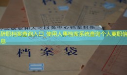辞职档案查询入口_使用人事档案系统查询个人离职信息