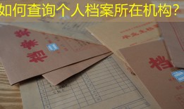 如何查询个人档案所在机构？