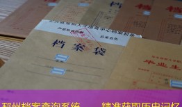 邳州档案查询系统——精准获取历史记忆