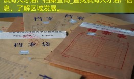 滨海人才落户档案查询_查找滨海人才落户信息，了解区域发展。