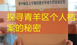 探寻青羊区个人档案的秘密