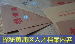 探秘黄浦区人才档案内容