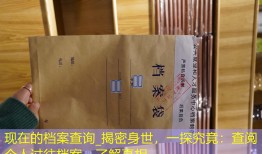 现在的档案查询_揭密身世，一探究竟：查阅个人过往档案，了解真相