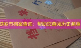 铁岭市档案查询：帮助您查阅历史渊源