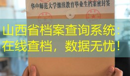 山西省档案查询系统：在线查档，数据无忧！