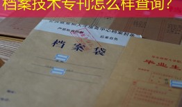 档案技术专刊怎么样查询？
