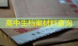 高中生档案材料查询