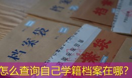 怎么查询自己学籍档案在哪？