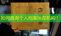 如何查询个人档案所在机构？
