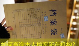 如何查询本人档案所在机构？