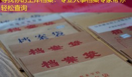 寻找你的上岸档案：专业人事档案专家帮你轻松查询