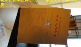 衡水新档案查询系统——掌握历史，留住珍贵