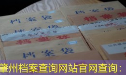 肇州档案查询网站官网查询：