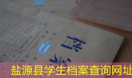 盐源县学生档案查询网址