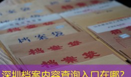 深圳档案内容查询入口在哪？