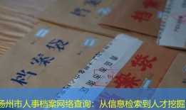 扬州市人事档案网络查询：从信息检索到人才挖掘