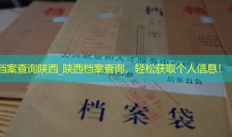 档案查询陕西_陕西档案查询，轻松获取个人信息！