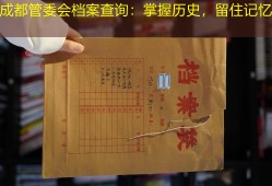 成都管委会档案查询：掌握历史，留住记忆