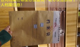 香河档案在哪里怎么查询？助你快速获得个人档案信息！