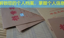 解锁您的个人档案，掌握个人信息