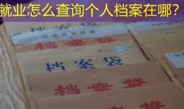 就业怎么查询个人档案在哪？