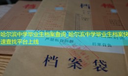 哈尔滨中学毕业生档案查询_哈尔滨中学毕业生档案快速查找平台上线