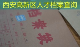 西安高新区人才档案查询