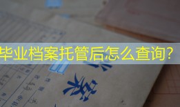 毕业档案托管后怎么查询？