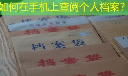 如何在手机上查阅个人档案？