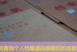 如何查询个人档案退回原籍后的信息？