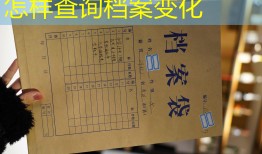 怎样查询档案变化