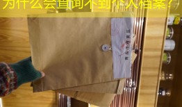 为什么会查询不到个人档案？