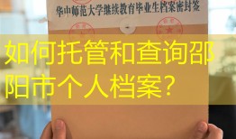 如何托管和查询邵阳市个人档案？