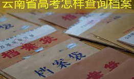 云南省高考怎样查询档案