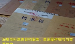 深度剖析嘉善县档案库，查询案件细节与背景信息