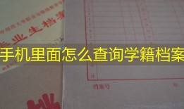 手机里面怎么查询学籍档案